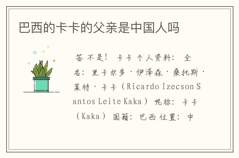 巴西的卡卡的父亲是中国人吗
