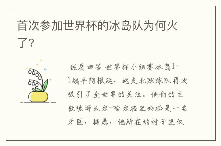首次参加世界杯的冰岛队为何火了?