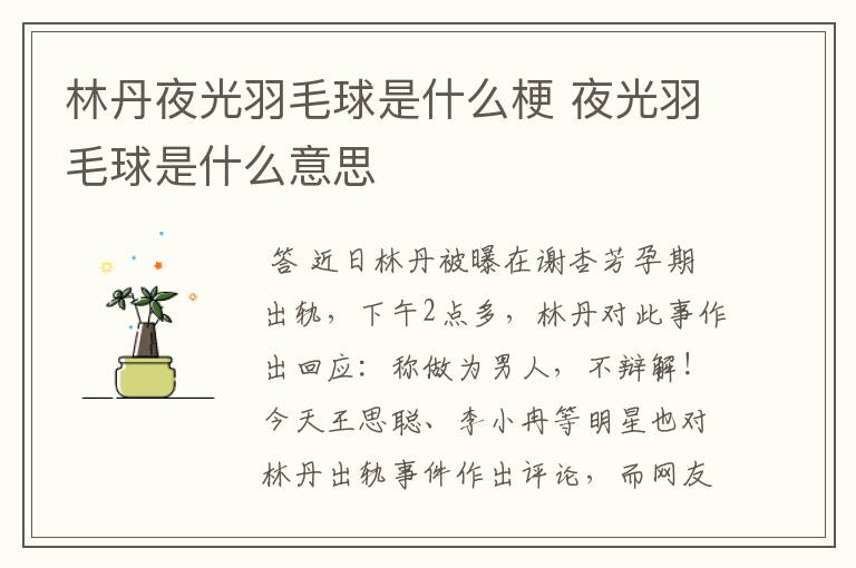 林丹夜光羽毛球是什么梗 夜光羽毛球是什么意思