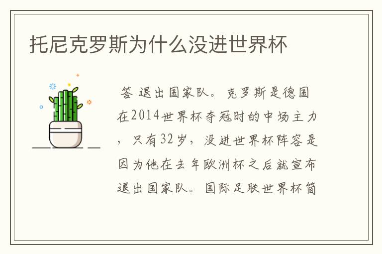 托尼克罗斯为什么没进世界杯