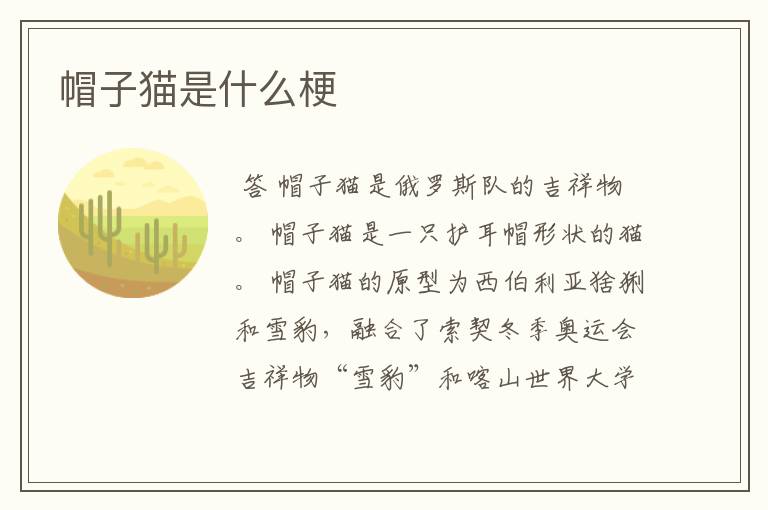 帽子猫是什么梗