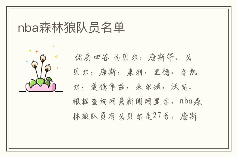 nba森林狼队员名单