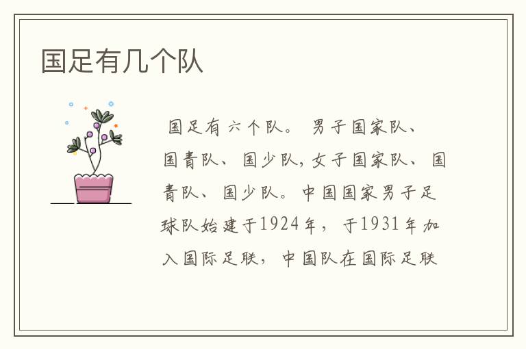 国足有几个队