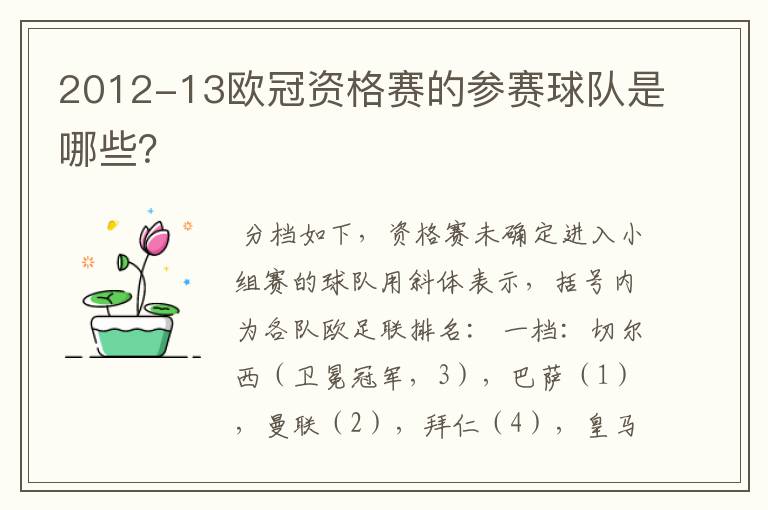 2012-13欧冠资格赛的参赛球队是哪些?