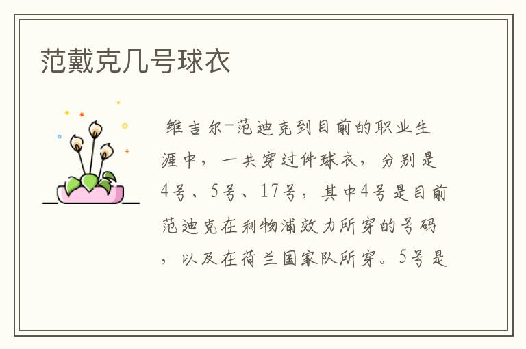 范戴克几号球衣