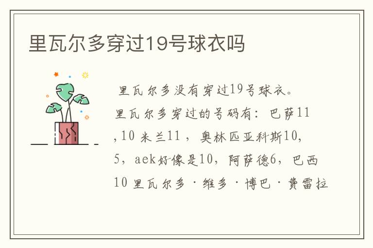 里瓦尔多穿过19号球衣吗
