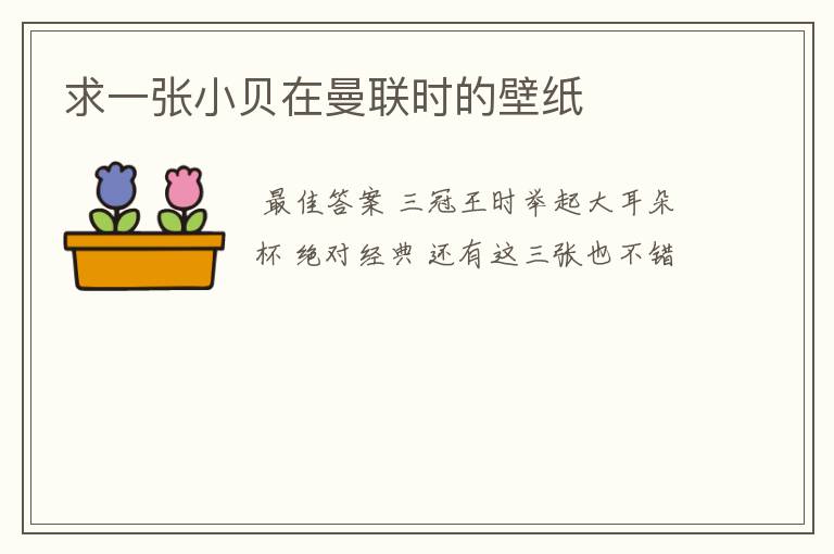 求一张小贝在曼联时的壁纸