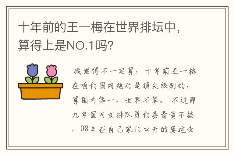 十年前的王一梅在世界排坛中,算得上是NO.1吗?