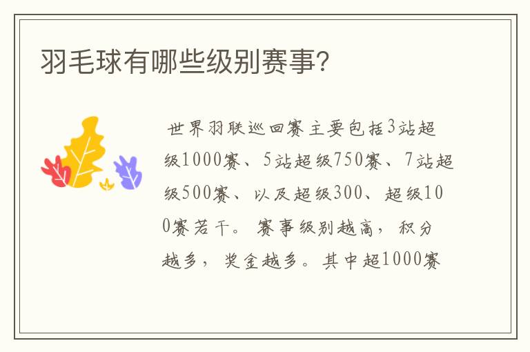 羽毛球有哪些级别赛事?