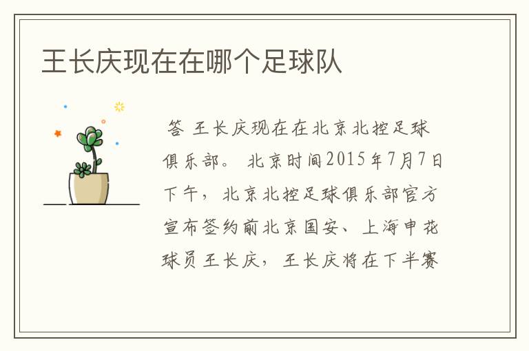 王长庆现在在哪个足球队