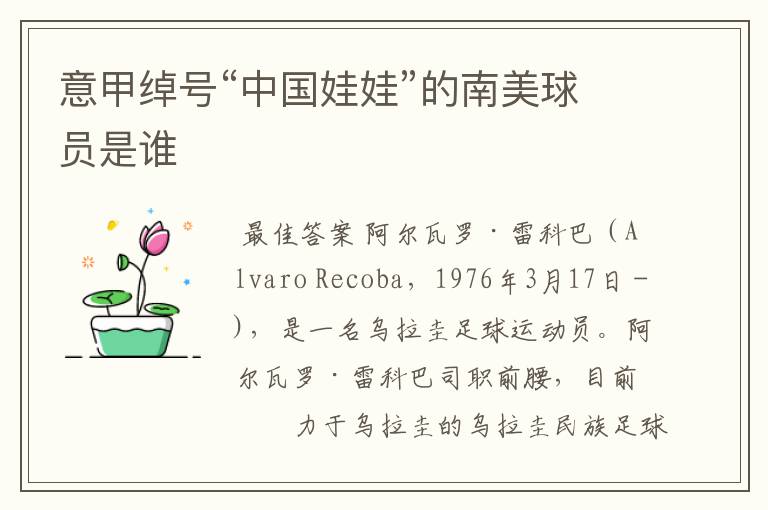 意甲绰号“中国娃娃”的南美球员是谁