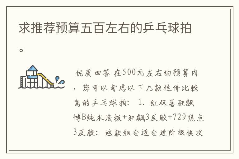 求推荐预算五百左右的乒乓球拍。
