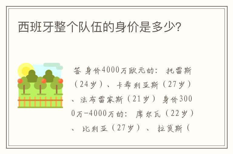 西班牙整个队伍的身价是多少?