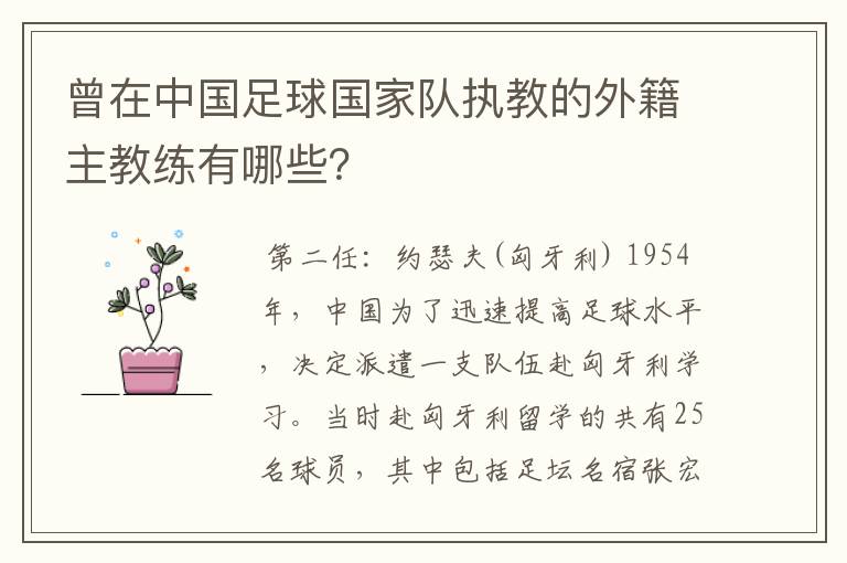 曾在中国足球国家队执教的外籍主教练有哪些?
