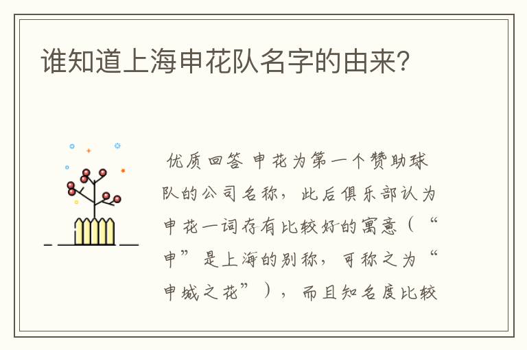 谁知道上海申花队名字的由来?