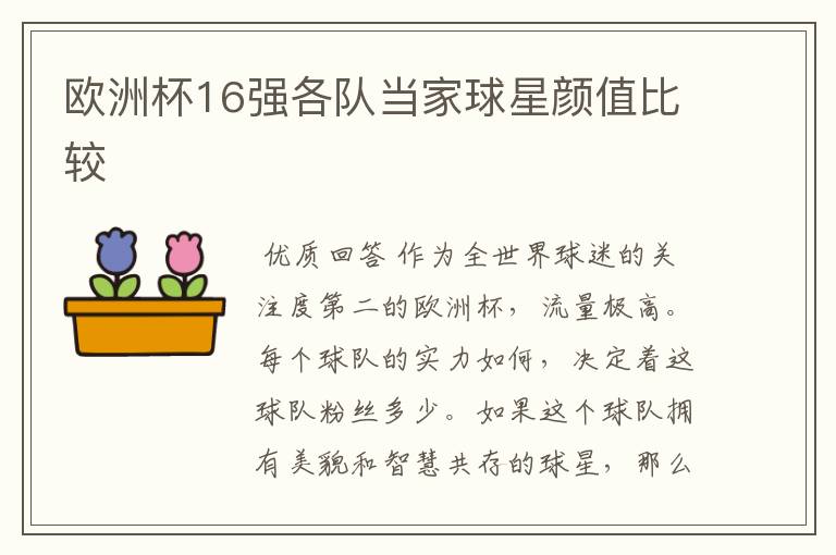 欧洲杯16强各队当家球星颜值比较
