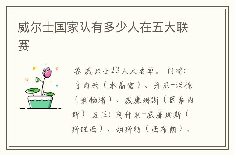 威尔士国家队有多少人在五大联赛