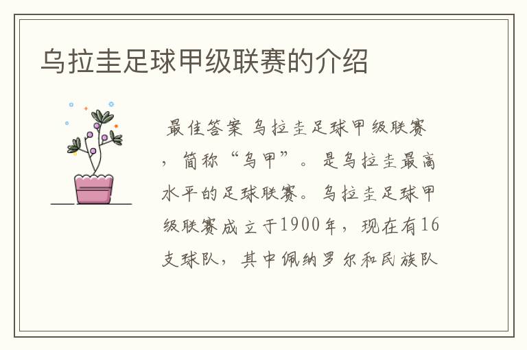 乌拉圭足球甲级联赛的介绍