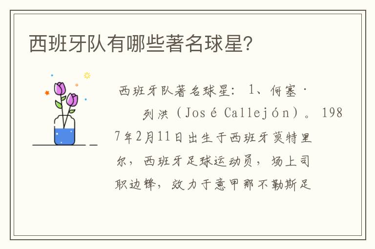 西班牙队有哪些著名球星?
