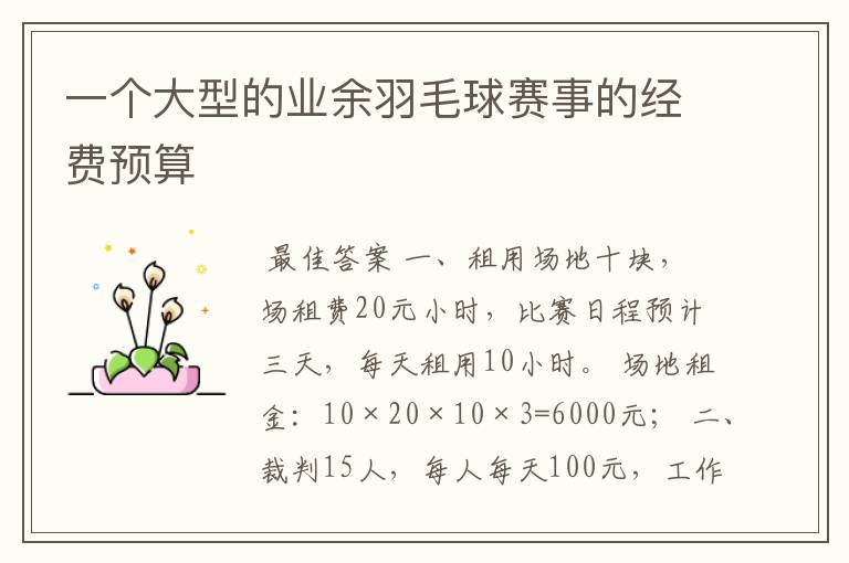 一个大型的业余羽毛球赛事的经费预算