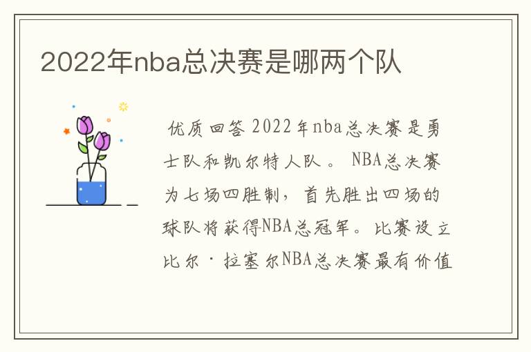 2022年nba总决赛是哪两个队