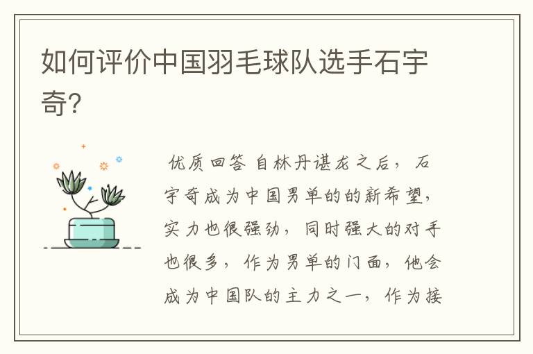 如何评价中国羽毛球队选手石宇奇?