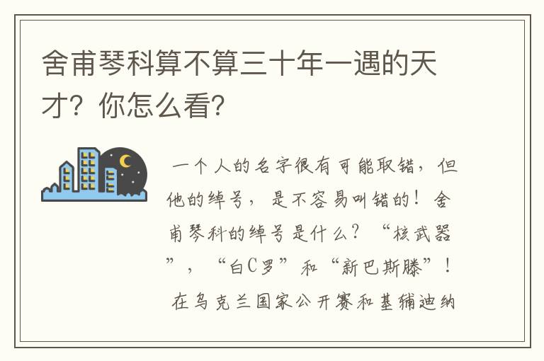舍甫琴科算不算三十年一遇的天才?你怎么看?
