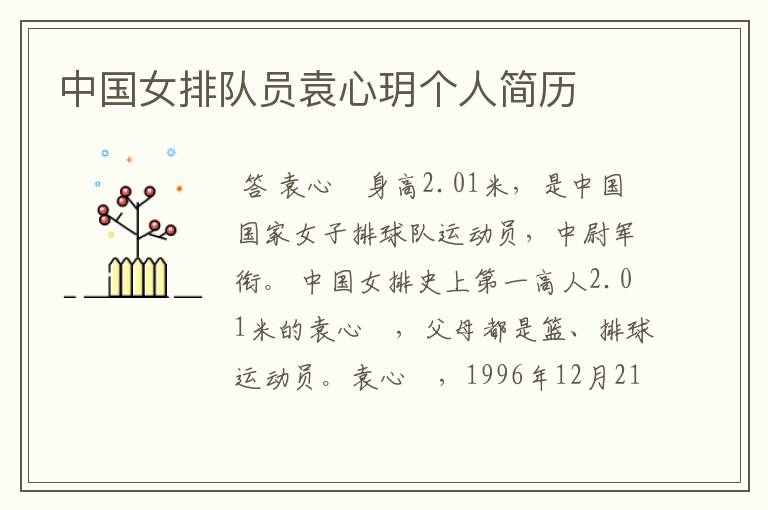 中国女排队员袁心玥个人简历