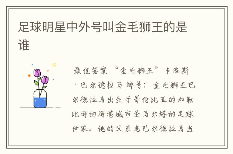 足球明星中外号叫金毛狮王的是谁