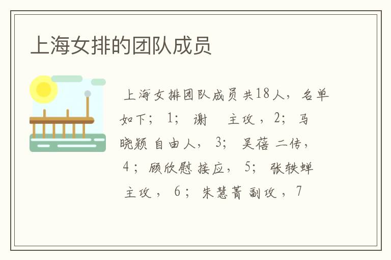 上海女排的团队成员