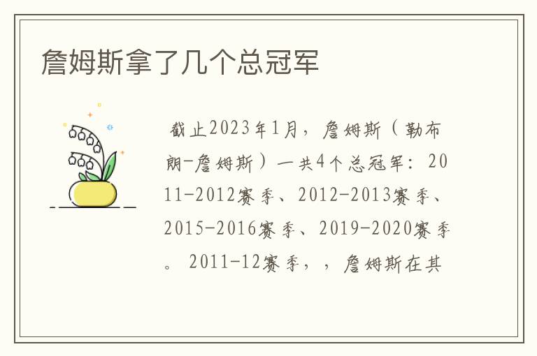 詹姆斯拿了几个总冠军