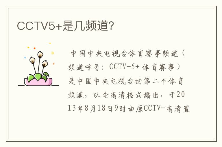 CCTV5+是几频道?