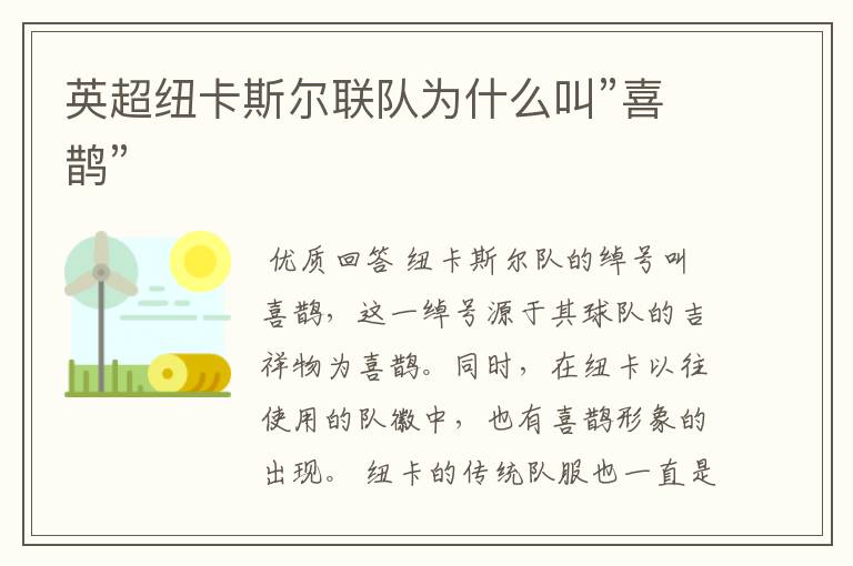 英超纽卡斯尔联队为什么叫”喜鹊”