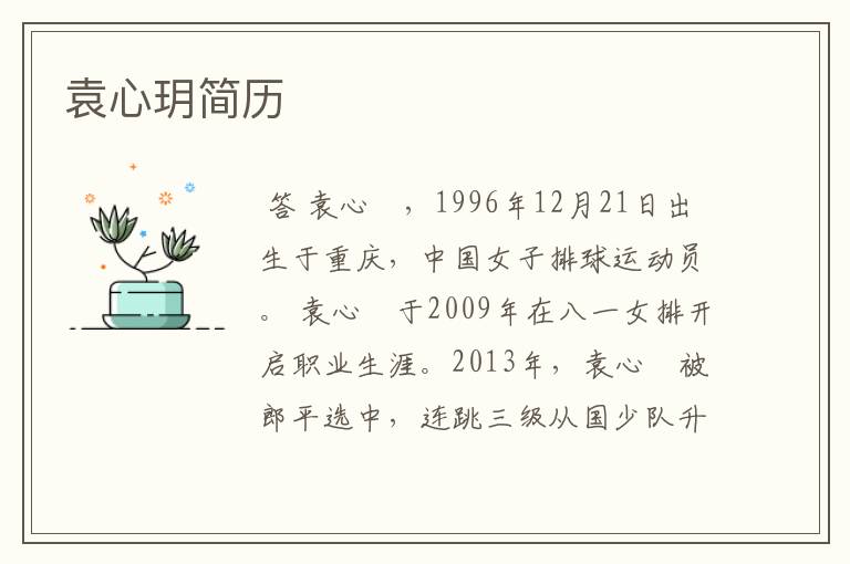 袁心玥简历