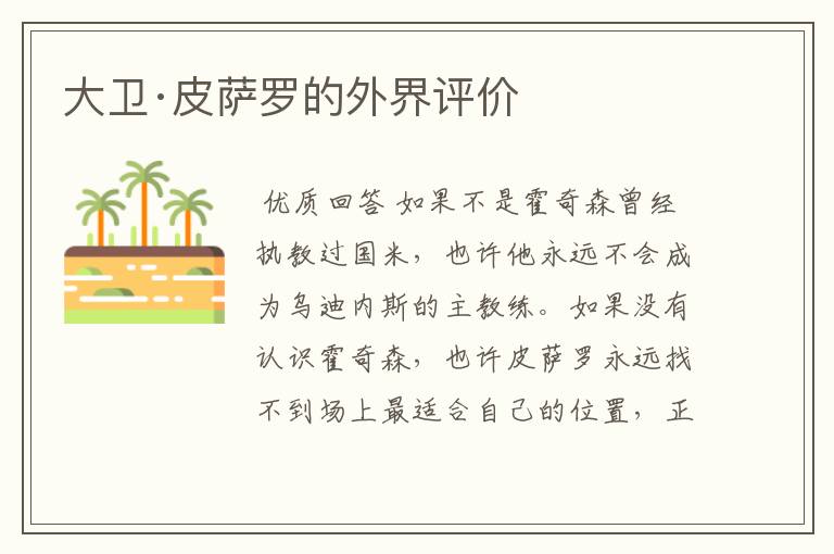 大卫·皮萨罗的外界评价