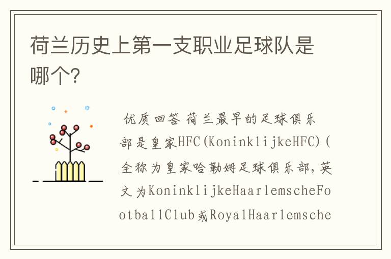荷兰历史上第一支职业足球队是哪个?