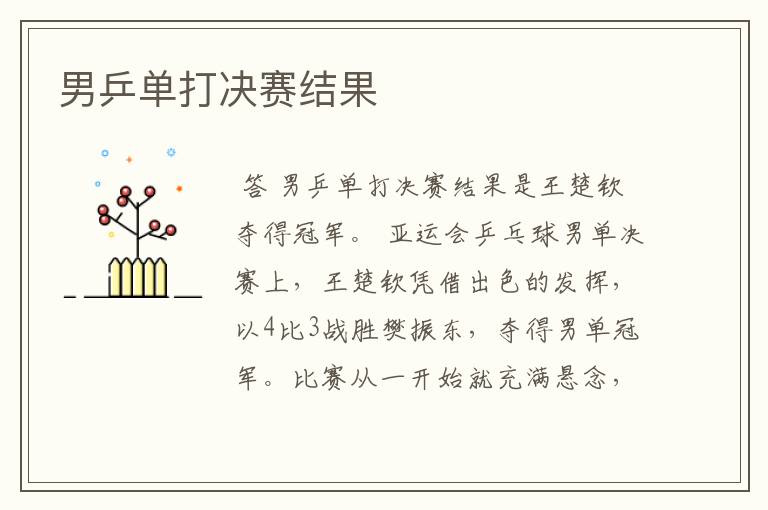 男乒单打决赛结果