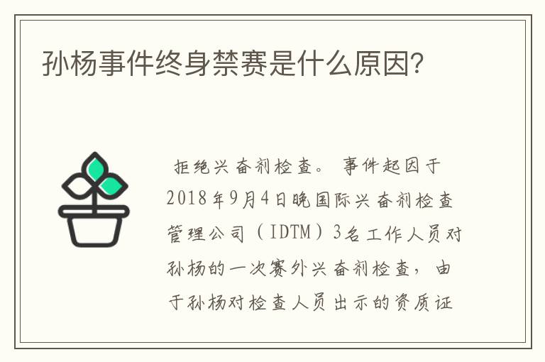 孙杨事件终身禁赛是什么原因?