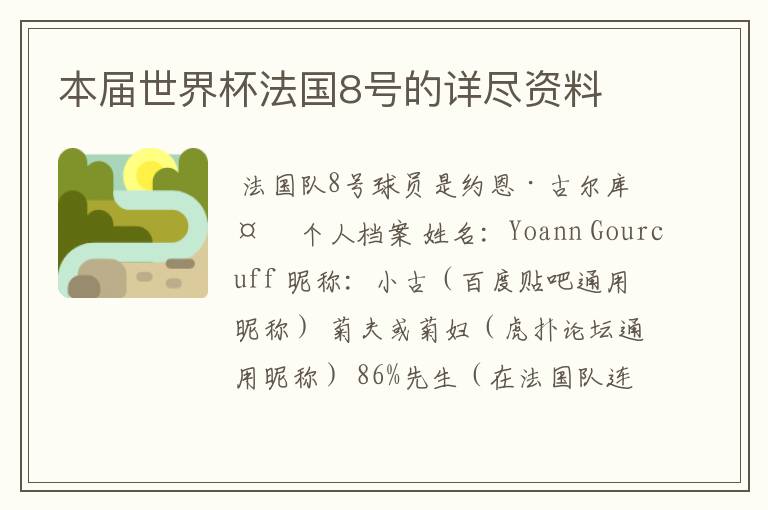 本届世界杯法国8号的详尽资料
