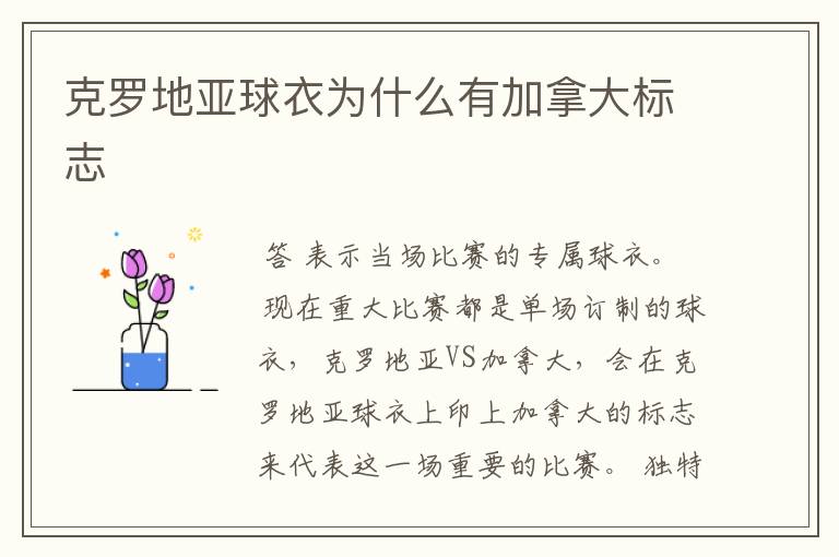克罗地亚球衣为什么有加拿大标志