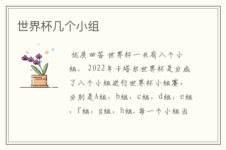 世界杯几个小组