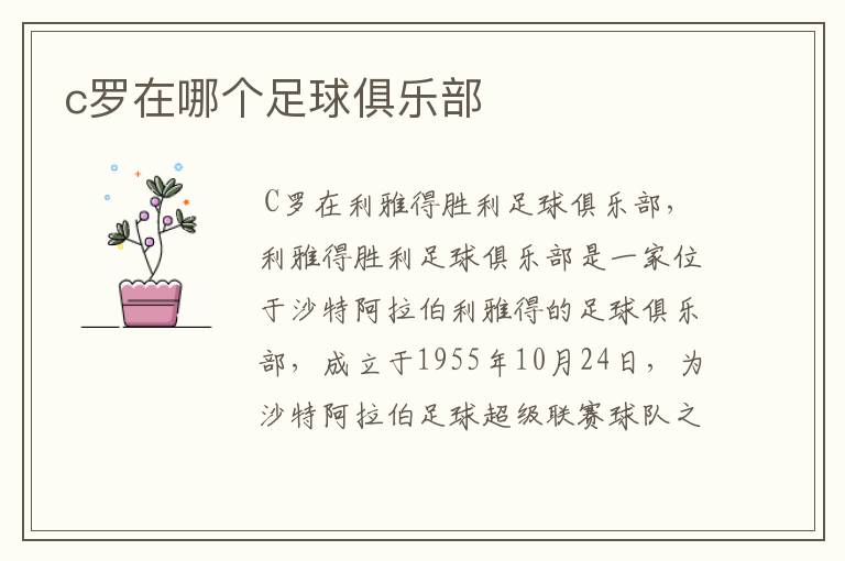 c罗在哪个足球俱乐部