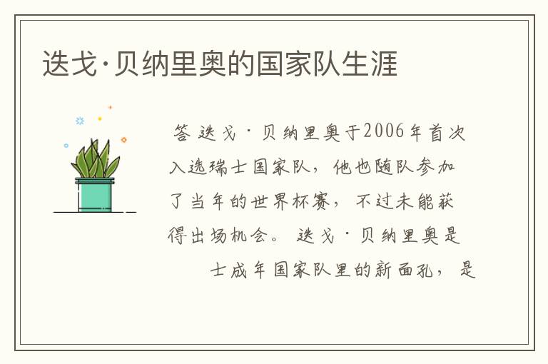 迭戈·贝纳里奥的国家队生涯
