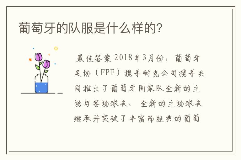 葡萄牙的队服是什么样的?