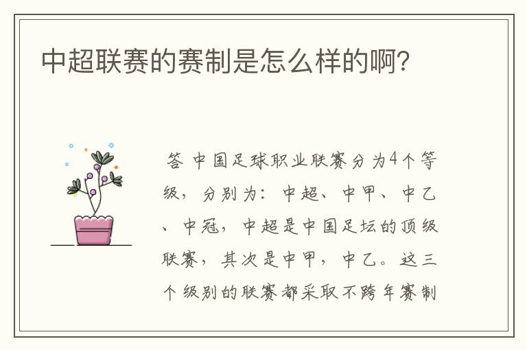 中超联赛的赛制是怎么样的啊?