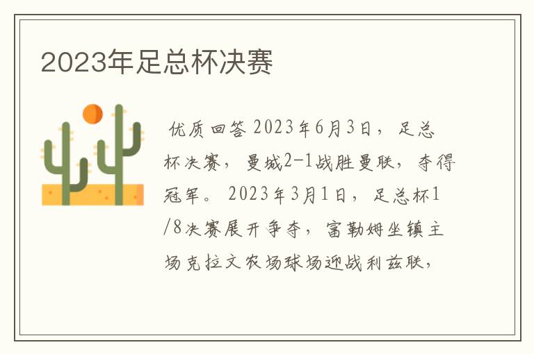 2023年足总杯决赛