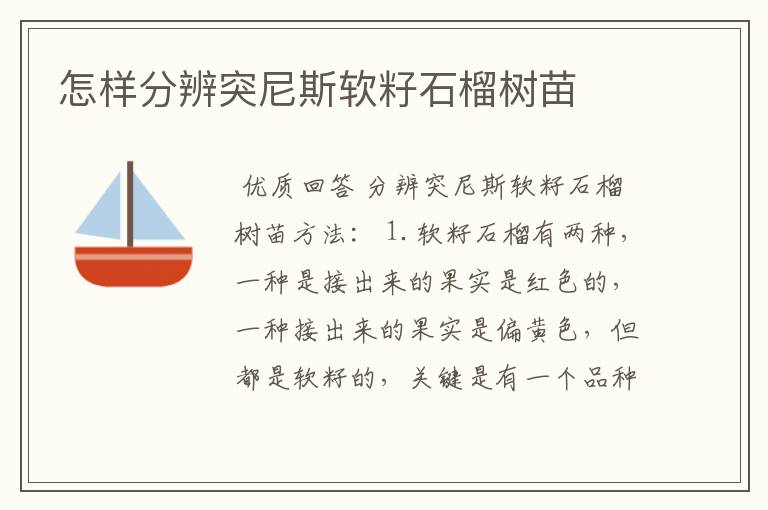 怎样分辨突尼斯软籽石榴树苗