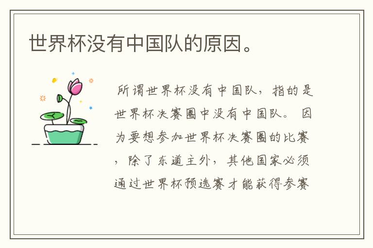 世界杯没有中国队的原因。