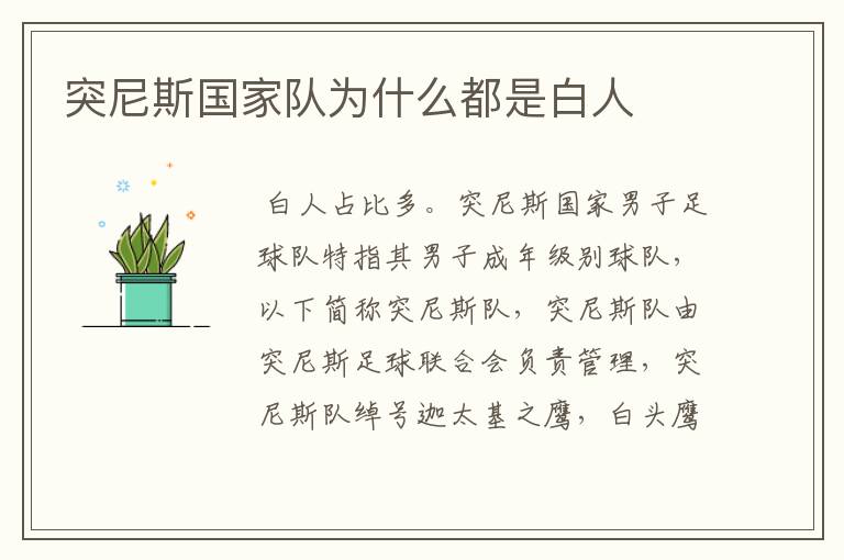 突尼斯国家队为什么都是白人