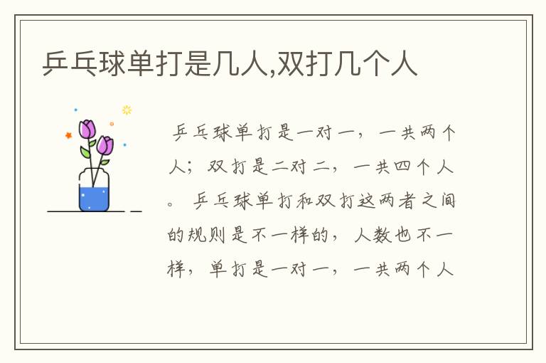 乒乓球单打是几人,双打几个人